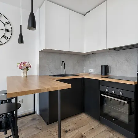 Charming In The Center Of By Renters Appartement Katowice