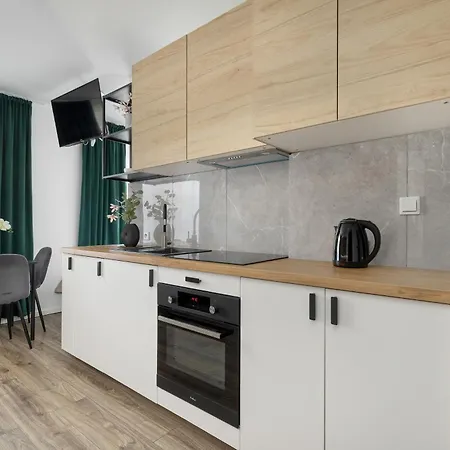 Charming In The Center Of By Renters Katowice