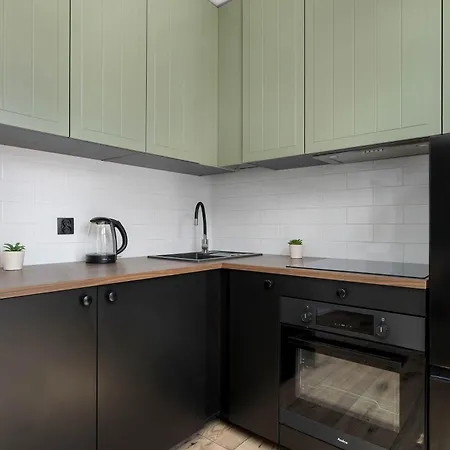 Charming In The Center Of By Renters Katowice